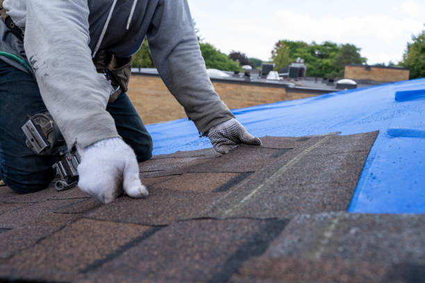 Best Residential Roofing Contractor  in Palestine, IL