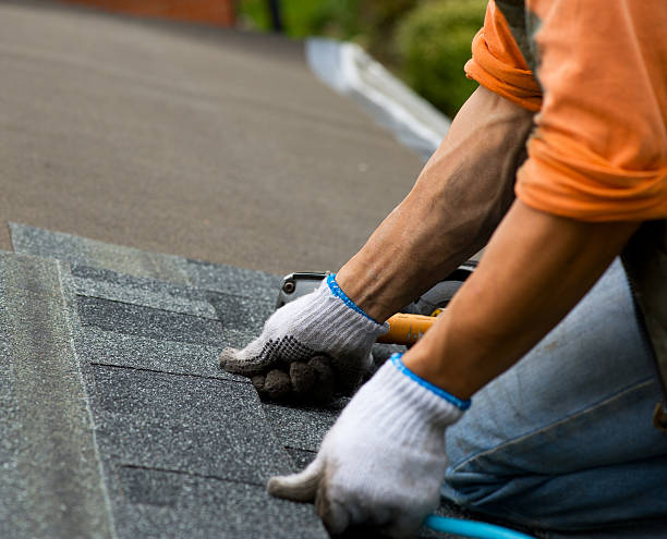Best Roof Leak Repair  in Palestine, IL
