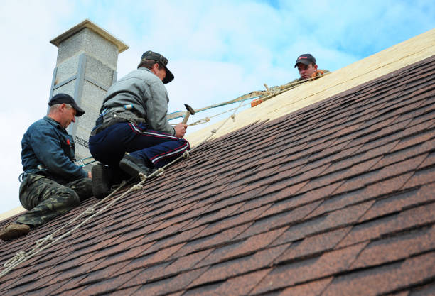 Best Roof Repair Services  in Palestine, IL